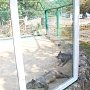 Первый стеклянный вольер появился в зооуголке Детского парка Симферополя