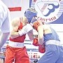Боксёрский клуб «Таврия» отметил 20-летний юбилей ярким турниром