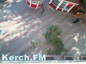Из-за ураганного ветра некоторые улицы Керчи остались без света