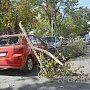 Ураган в столице Крыма за сутки повалил 15 деревьев – повреждены электросети и десятки автомобилей