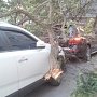 В штормовом столице Крыма на машины падали деревья