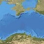 Крымские учёные: иностранные суда бесконтрольно разносят биологическую заразу по Чёрному морю