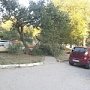 Ветер продолжает ломать огромные ветки деревьев в Керчи