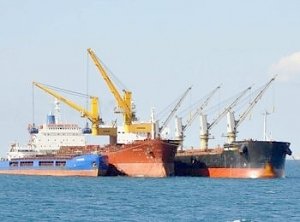 "Майдауны" "уличили" украинские суда в экспорте зерна из Крыма