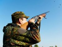 В Минприроды Крыма начали выдавать разрешения охотникам на добычу фазана и куропатки