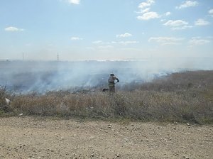 В Крыму участились случаи возгорания сухой растительности