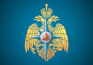 Руководство ГУ МЧС России по г. Севастополю проведёт личный приём граждан в приёмной Президента РФ