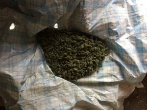 Полицейские изъяли у жителя Сакского района 300 граммов конопли