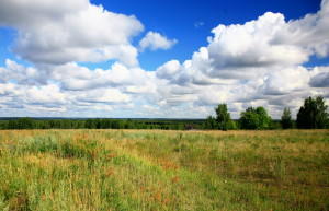 Земли сельхозназначения, расположенные за границами населённых пунктов, будут переведены в пользование поселковым советам, — Аксёнов
