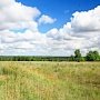 Земли сельхозназначения, расположенные за границами населённых пунктов, будут переведены в пользование поселковым советам, — Аксёнов