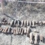 В садовом товариществе откопали мины и снаряды