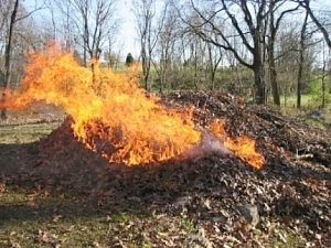 МЧС предупреждает: сжигание листвы опасно!