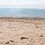 В Крыму расторгнут договоры с пользователями пляжей