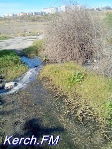 В Керчи канализация вновь стекает в море