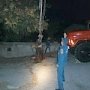 Крымские спасатели вытащили из канализации лошадь