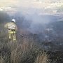 За текущий месяц огнеборцы Крыма около 100 раз ликвидировали возгорания сухой травы на полуострове