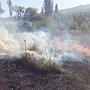 В Крыму спасатели ликвидировали пожар в лесополосе
