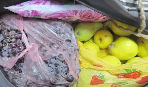 В Крым старались незаконно ввезти более 200 кг продукции растительного происхождения
