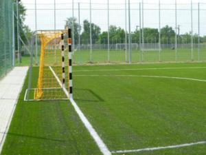 УЕФА окажет помощь установить в Ленино поле с искусственным покрытием, — Кожичева