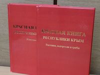 Представители Минприроды Крыма провели следующий семинар о Красной книге для учителей