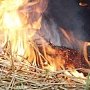 В Крыму сожгли 28 тонн сена