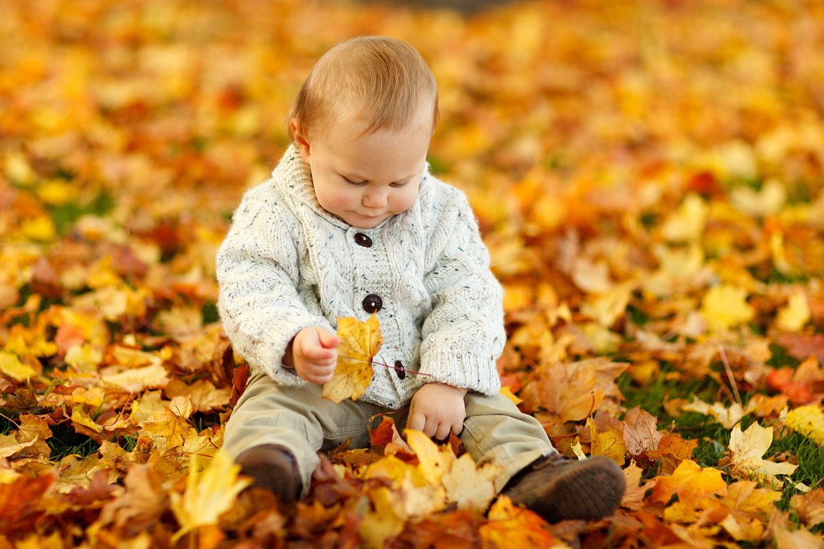 Ребёнок на листве
