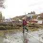Спасателям пришлось пилить деревья, чтобы расчистить дорогу