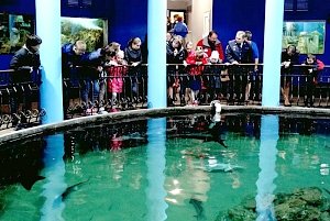 Севастопольские полицейские организовали экскурсию для воспитанников социального приюта в морской аквариум