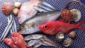 Фанатам рыболовам напоминают, когда запрещена рыбалка в Керченском проливе