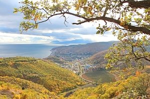 Кажется, наши гости попали в «крымскую ловушку»