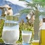Молоко с «пальмой» нашли в детских садах Керчи и Симферополя