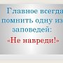 Керчане с переулка Менделеева обрезали деревья и повредили провода