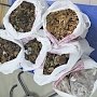 В Крым старались незаконно ввезти сухофрукты, саженцы и сушёные грибы