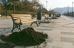 На набережной Судака высаживают деревья и цветы