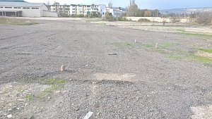 Бесплатная парковка в Балаклаве шокировала севастопольских автомобилистов