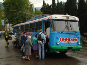 Ялтинцы смогут лично сообщить перевозчикам свои предложения по работе общественного транспорта