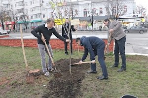 Перед зданием совета министров Крыма высадили аллею в честь экономистов