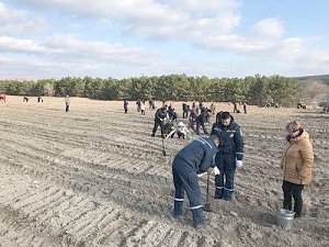 «Живи лес»: в Крыму сберегают и приумножают природное богатство