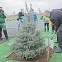 «Посади своё дерево»