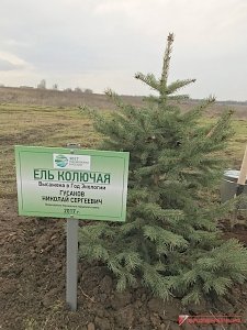 Гусаков принял участие в посадке деревьев в Симферопольского районе