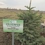 Гусаков принял участие в посадке деревьев в Симферопольского районе