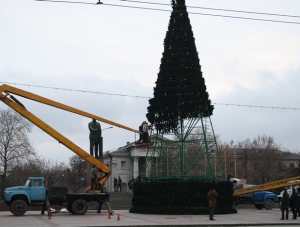 В столице устанавливают новогоднюю ёлку