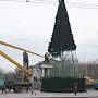 В столице устанавливают новогоднюю ёлку