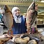 В Ялте изъяли из продажи опасную рыбу