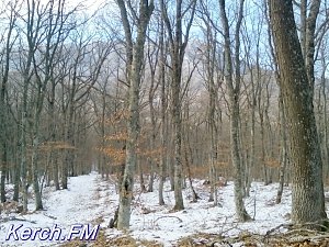 Керчанин побывал в заснеженных Крымских горах