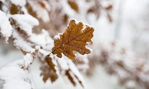 В понедельник Крым накроют ливни, переходящие в снег