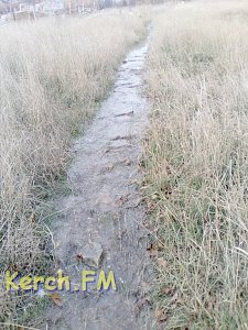 В Капканах питьевая вода из водовода рекой течет в море