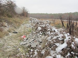 Активисты ОНФ установили проблемы в ликвидации стихийных свалок вне населённых пунктов в Крым