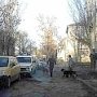 Перед итоговым сочинением выпускников помещение керченской школы проверяли собаки