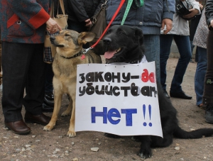 Госдума ужесточила наказание за живодёрство